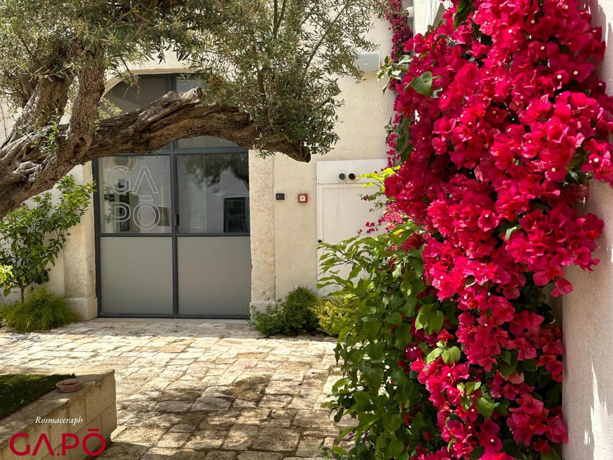 Gapo Rooms Orta Nova Dış mekan fotoğraf
